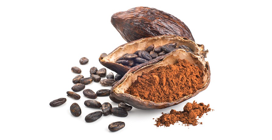 La FDA annuncia l'indicazione sulla salute qualificata per i flavanoli del cacao